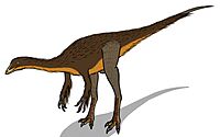 Dromiceiomimus 03747.JPG