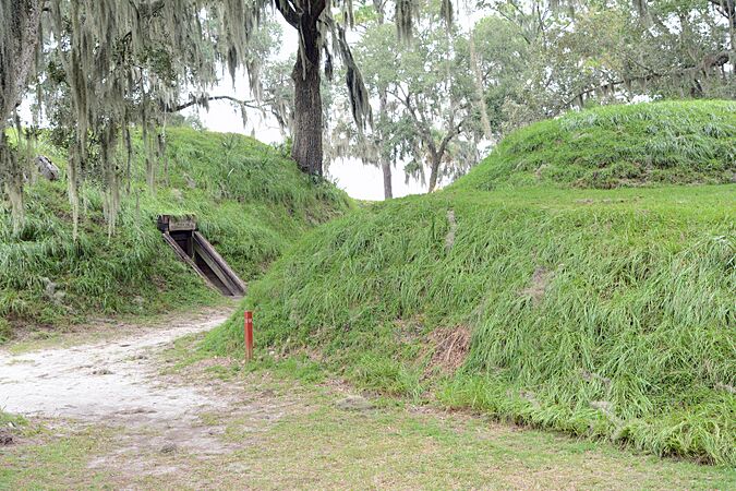 Earth works at Fort McAllister, GA, US