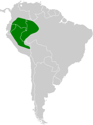 Epinecrophylla erythrura map.svg