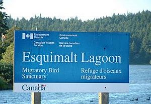Esquimalt Lagoon Sign, Colwood, British Columbia