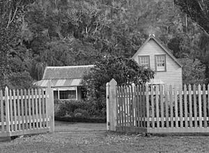 Front view of Major De Grut's house, Orewa, Rodney District, including native trees and fence (cropped)