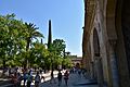 Great Mosque of Cordoba, open courtyard (3) (29807927286)