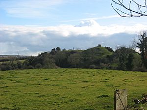 Greenmount motte-and-bailey, Co. Louth - geograph.org.uk - 1772463.jpg