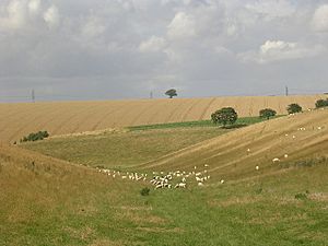Head of Swindale, on the Wolds Way - geograph.org.uk - 120099
