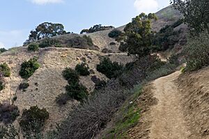 Hellman Park Whittier CA 3 Mariposa Trail