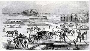 Ice Harvesting, Massachusetts, early 1850s