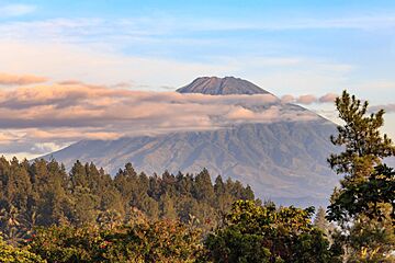 Indonesia Mount-Sumbing-volcano-01.jpg