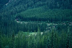 KICKING HORSE PASS NATIONAL HISTORIC SITE