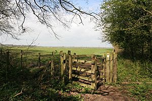 Kissing gate at the common (geograph 1868151).jpg