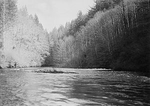 Little Sandy River (Oregon).jpg
