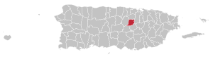 Map of Puerto Rico highlighting Naranjito Municipality