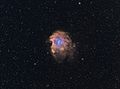 Monkey Head Nebula bi-color Ha-OIII 384mm stephan hamel wiki