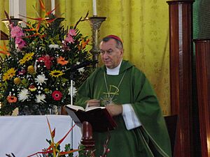 Monseñor Pietro Parolin, 2012