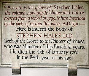 Monument for Stephen Hales, d 1761 at St Mary's church, Teddington