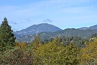 Mount Saint Helena 2