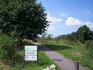 New Southgate Millennium Green sign