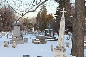 Oakwood Niagara Falls in Winter