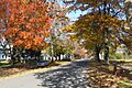 Old Main Street, November 2008, Deerfield MA