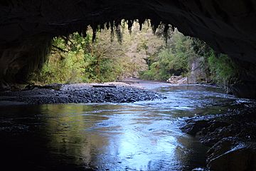 Oparara River flowing out of Moria Gate arch