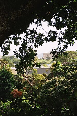 Over the grounds of St Peter's College towards Auckland Museum and the Waitemata harbour