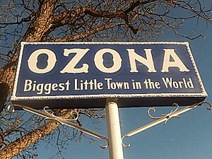 Ozona, TX town sign DSCN1394