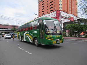 Pasay City (Central Business District) 23