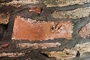 Paw Print Tile - St Nicholas Church, Leicester