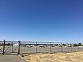 Planes at the Nut Tree Airport