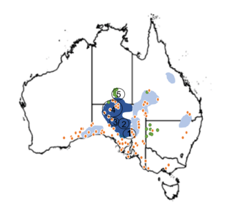Primary extant distribution of the plains rat 