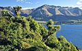 Queenstown-Lakes 04