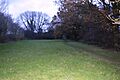 Sallowsprings 2