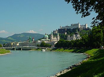 Salzburger Stadtansicht.jpg