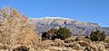 Sandia Crest with snow