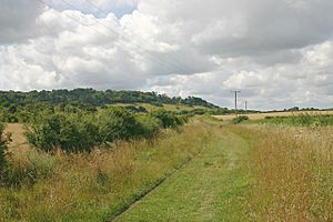 Shirburn Hill - geograph.org.uk - 1416870.jpg