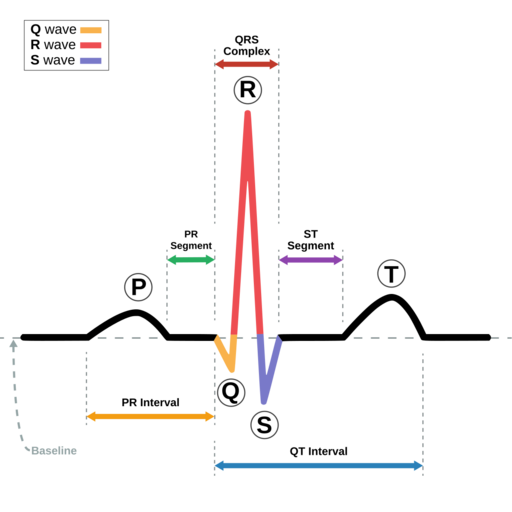 SinusRhythmLabels