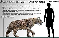 Smilodon fatalis life-restoration '08