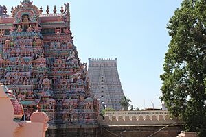 Srirangam Temple Gopuram View