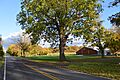 Sullivan, NY, USA - panoramio (21)