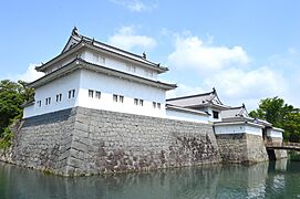 Sunpu-castle tatsumi-yagura