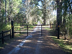Tallahassee FL Billingsley Farm road01
