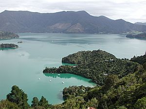 Te Mahia Bay and Kenepuru Sound