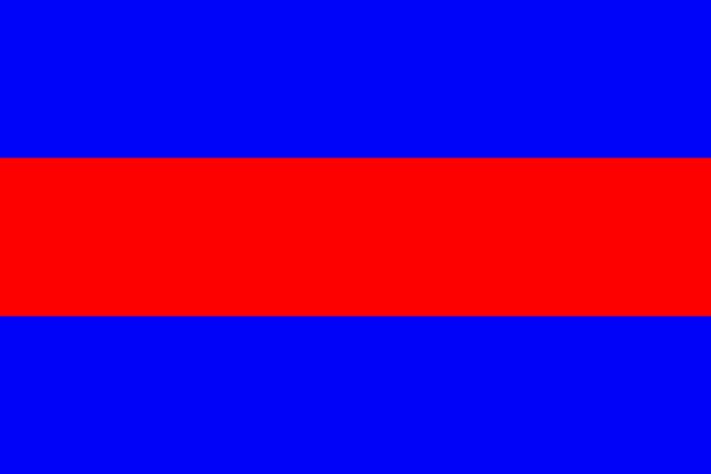 Tehreek-e-Istiqlal Flag