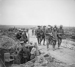 The Battle of the Somme, July-november 1916 Q4172
