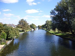 The River Cam from the Green Dragon Bridge