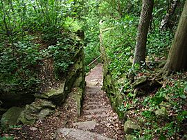 Trail to Green Bay in Bay Shore County Park