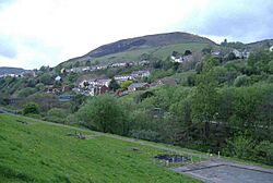 Trealaw, viewed from Dinas - geograph.org.uk - 414391.jpg