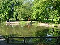 Vernon Park Lake - geograph.org.uk - 16363