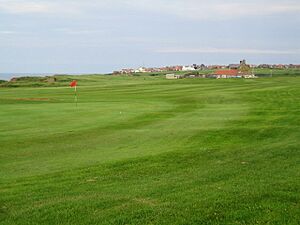 View over golf links to Whitby - geograph.org.uk - 186814