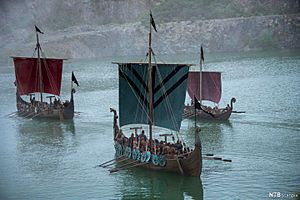 Viking longships