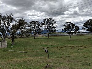 Willamsdale solar farm